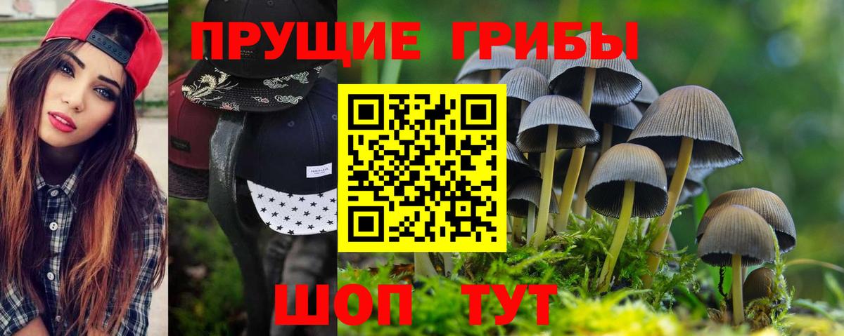 Псилоцибиновые грибы Cubensis Нерюнгри